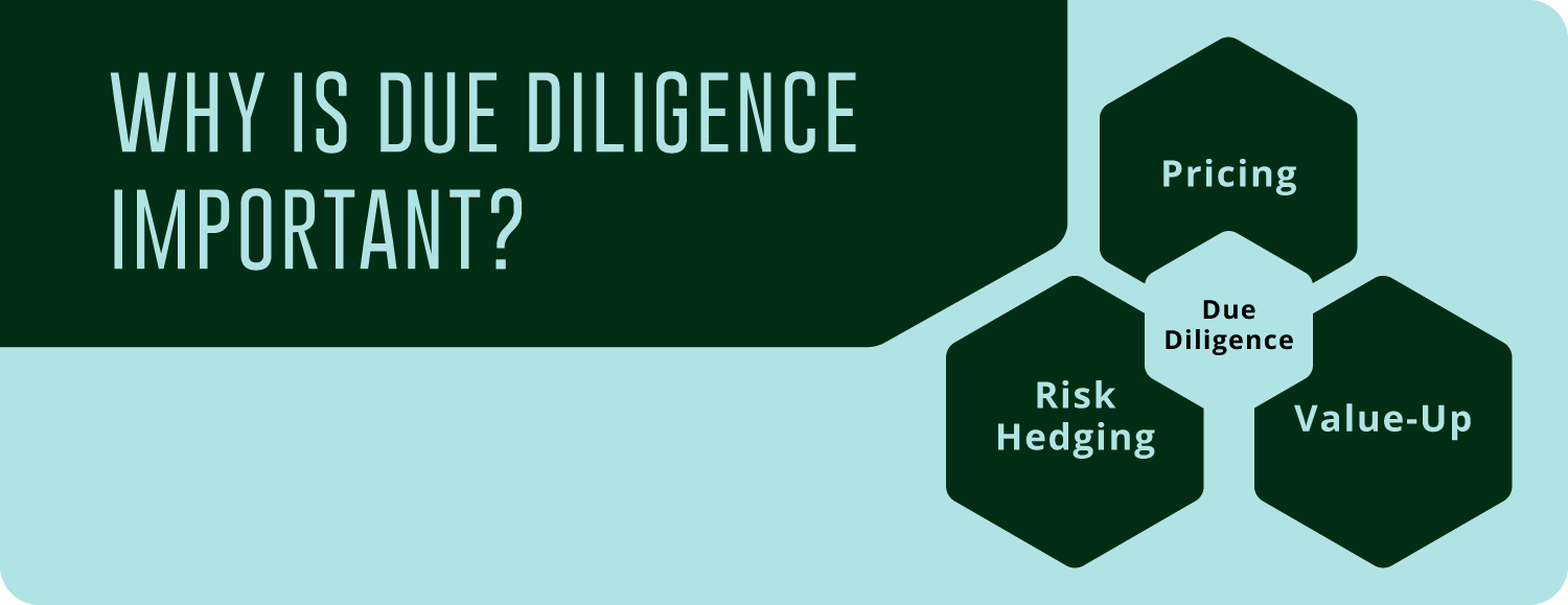 Due Diligence