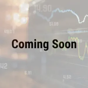 excel modelling module